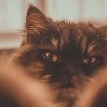 How to Not Be Grumpy