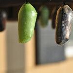 Are You Resistant to Change?