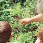 Are You a Grandparent?