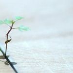 Resilience