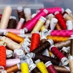 The Importance of Hobbies