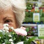Does Older Equal Happier?
