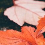 Are You Resistant to Change?