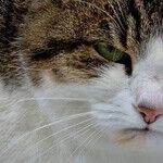 How to Not Be Grumpy