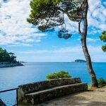 Blue Zones: Part 2