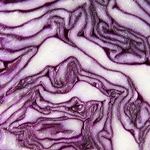 Genius Foods