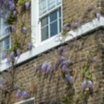 Caregiver Survival Guide