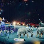 The Circus Just Arrived -- at 1600 Pennsylvania Ave.