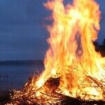Pouring Gasoline on a Bonfire