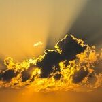 Social Sustainability Is the Difference Between Right and Wrong: An Interview With Sue Reinhold