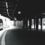 Grappling With the Trust Gap