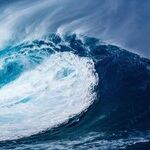 Where the Wave Begins