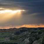 TR's Presidential Library Comes to Life in North Dakota