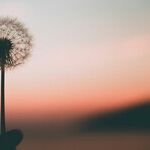 Boundaries Are Not Selfish