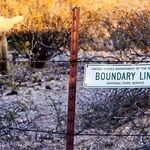 Drawing the Line With My Daughter-in-Law