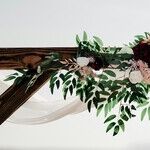 Torn Between Peace and Parents