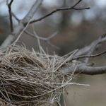 Mom Needs To Feel Needed