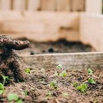 Look for the Beauty Around You