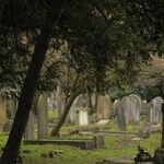 Mother/Daughter Relationship Proves Hard in Life and Death