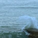 Caught Between Sister and Aunt