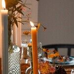 The Social Weight of a Plate