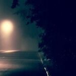 Coping With an Empty Nest at the Holidays