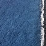 Losing My Nephew to Family Politics