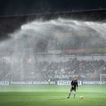 All's Fair in Love and Sports?