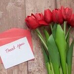 Growing Impatient With Friend's Ingratitude