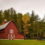 Afraid To Trade Security for Soil