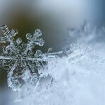 Laughing Off Accountability