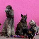 Choosing Peace Over an Endless Battle