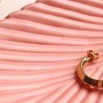 Missing Earrings Mystery