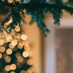 The Guests Who Stole Christmas