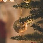Missing the Magic of Family Christmases