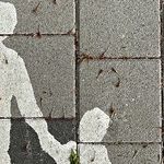 Their Stepmother Oversteps