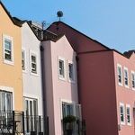 Neighbor Hits Last Nerve