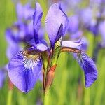 Dealing With Debilitating Grief