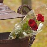 What to Do With Brother's Ashes