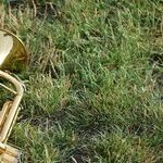 Trumpeter in Turmoil