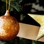 In-Laws Ruin the Holidays