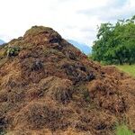 When Composting Goes Too Far