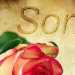 'I Apologize' Instead of 'I'm Sorry'