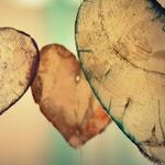 Sad Valentine's Day Memories