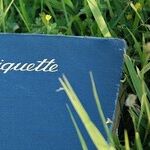 Why Do We Have Etiquette?