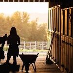 Brother Worries About Farming Sister