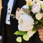 Disappearing Daughter-In-Law