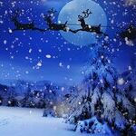 Happy Christmas to All!