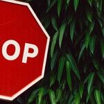 Learning to Say No