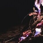 Brightest Flame Burns the Quickest